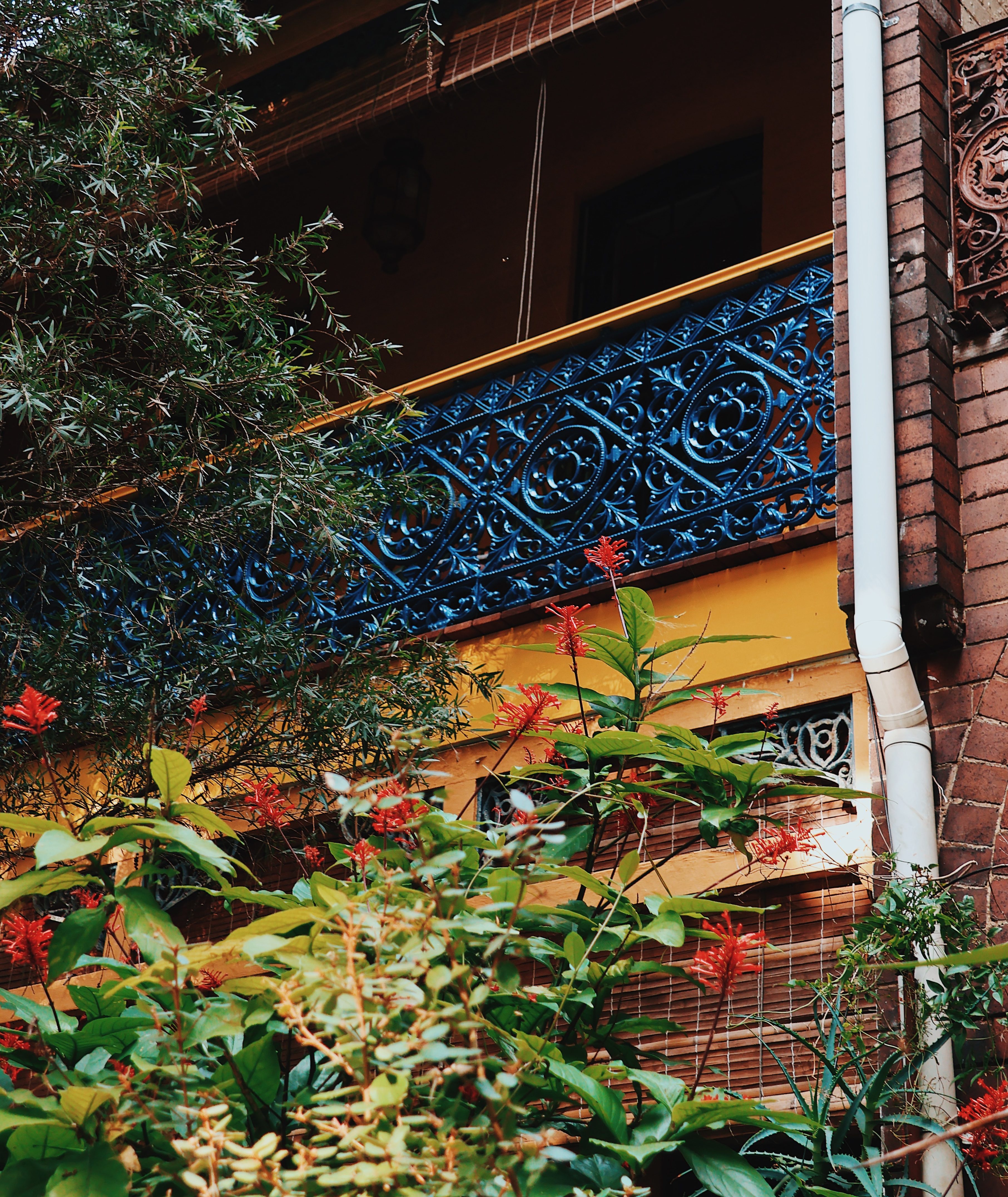 Cast-iron lacework on a terrace house, Australia