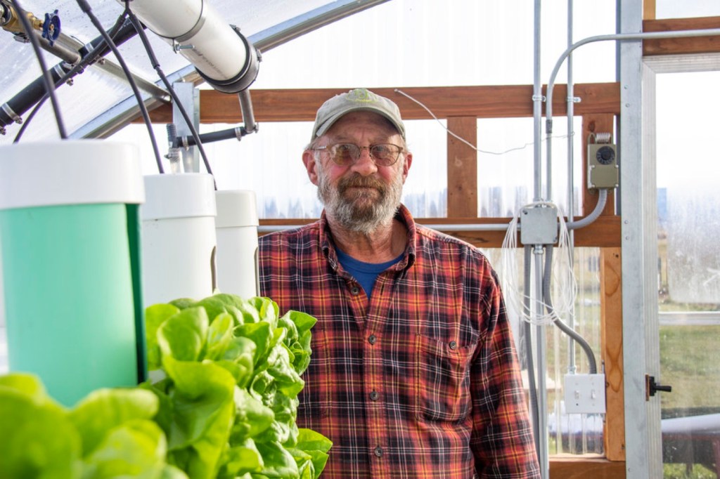 A bearded farmer in a plaid shirt stands in a hydroponic greenhouse behind heads of lettuce